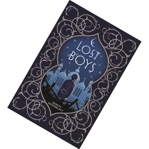 Lost Boys by Darcey Rosenblatt 9781627797580.jpg