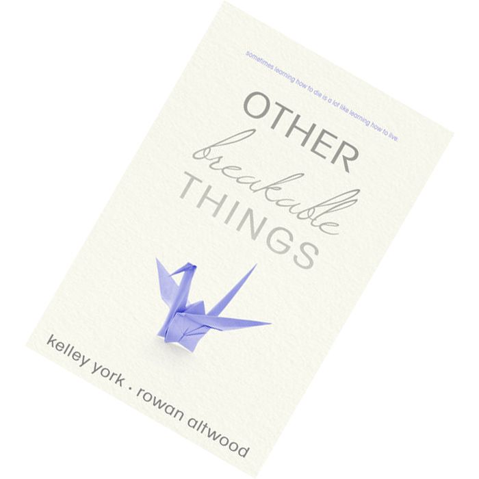 Other Breakable Things by Kelley York, Rowan Altwood 9781633755949.jpg