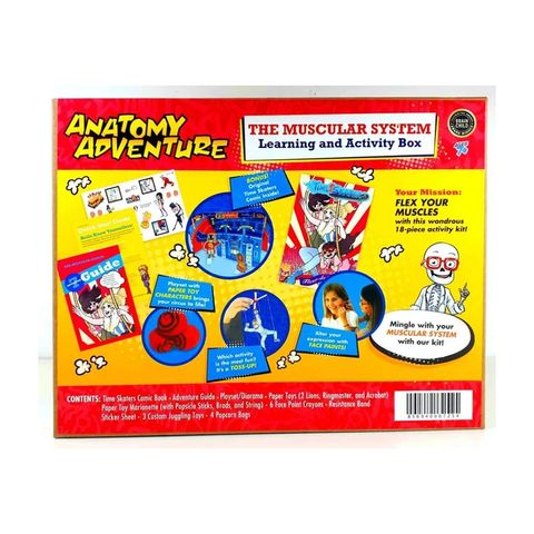 The Muscular System Learning And Activity Box 856940007254.jpg