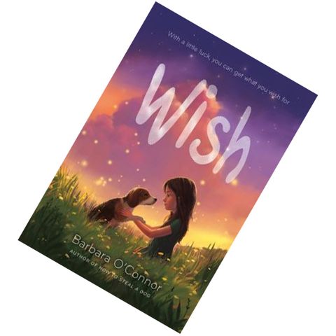 Wish by Barbara O'Connor 9781250144058.jpg