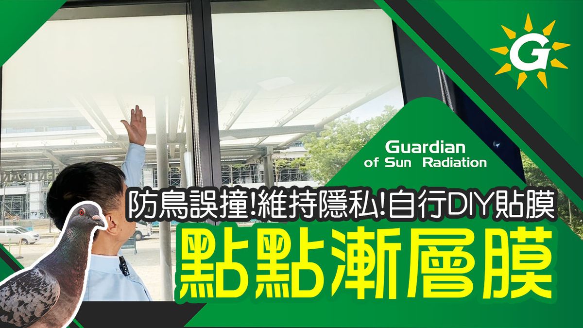 大面玻璃維持採光又想維持隱私?常常有鳥類誤撞玻璃?點點漸層膜DIY開箱施工!阿熊教您如何貼出不同的隱私風格!同時保護鳥類撞傷!友善節能空間!【台灣節能膜】