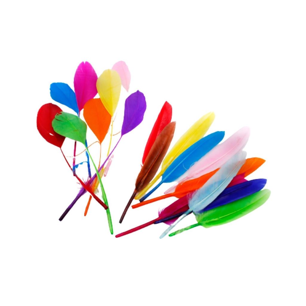 Craft DIY Colourful Feather (Wings & Round Contour),,.jpg