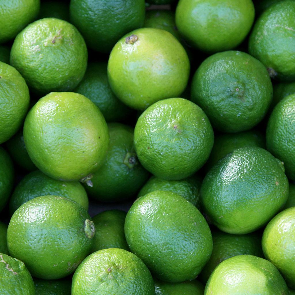 lime-organic.jpg