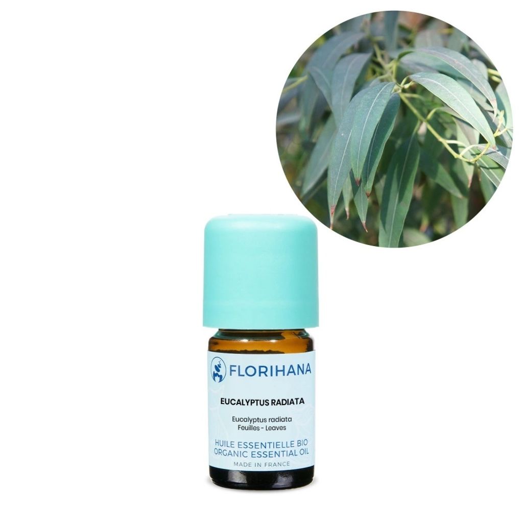eucalyptus-radiata-organic-5.jpg