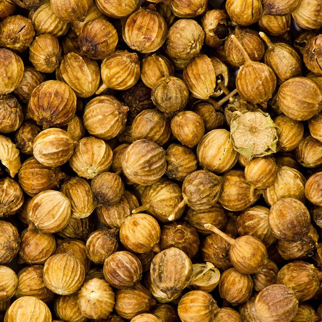 coriander-seed-organic.jpg