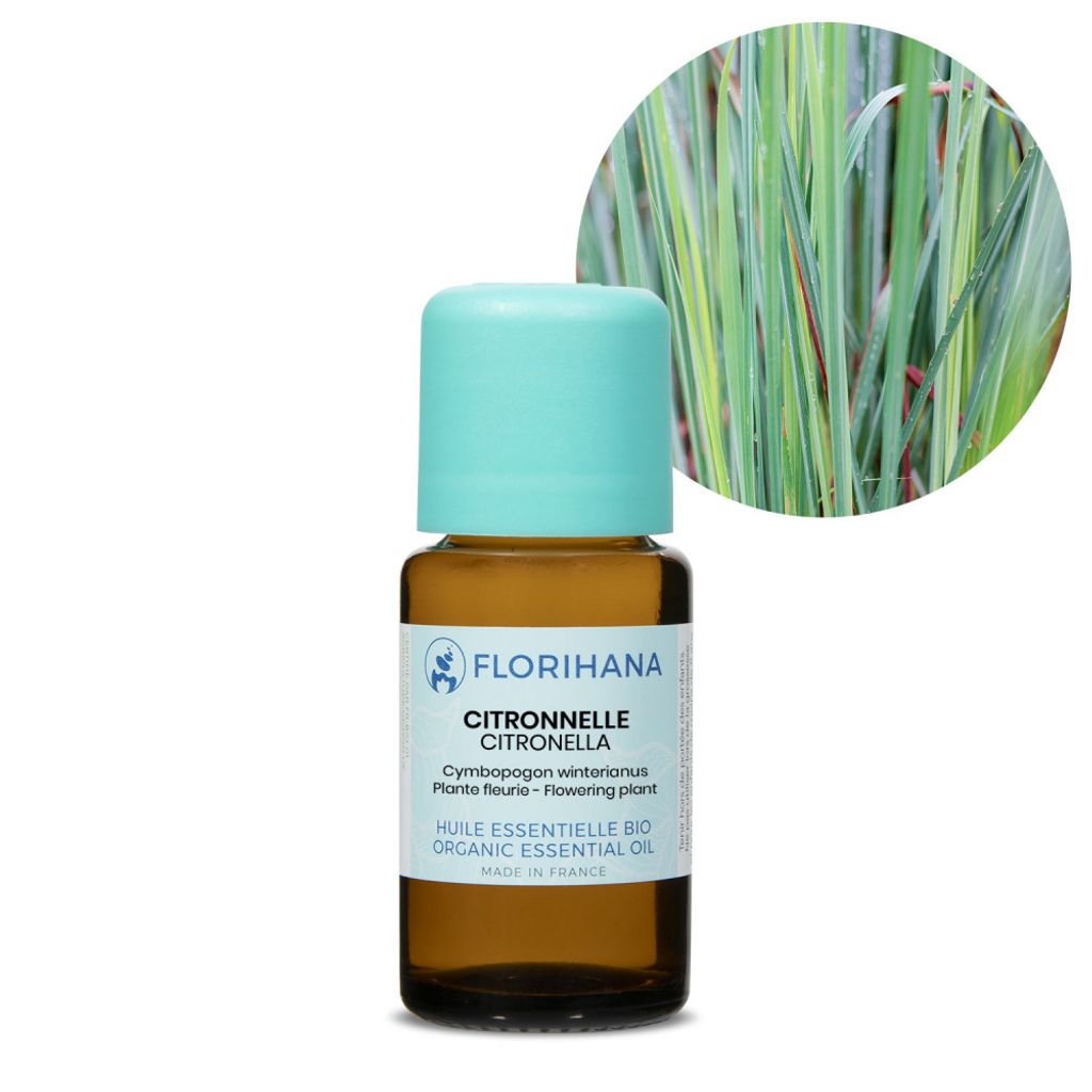 citronella-organic-15.jpg