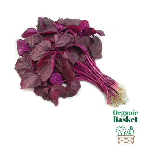 Red Amaranth@2x.png