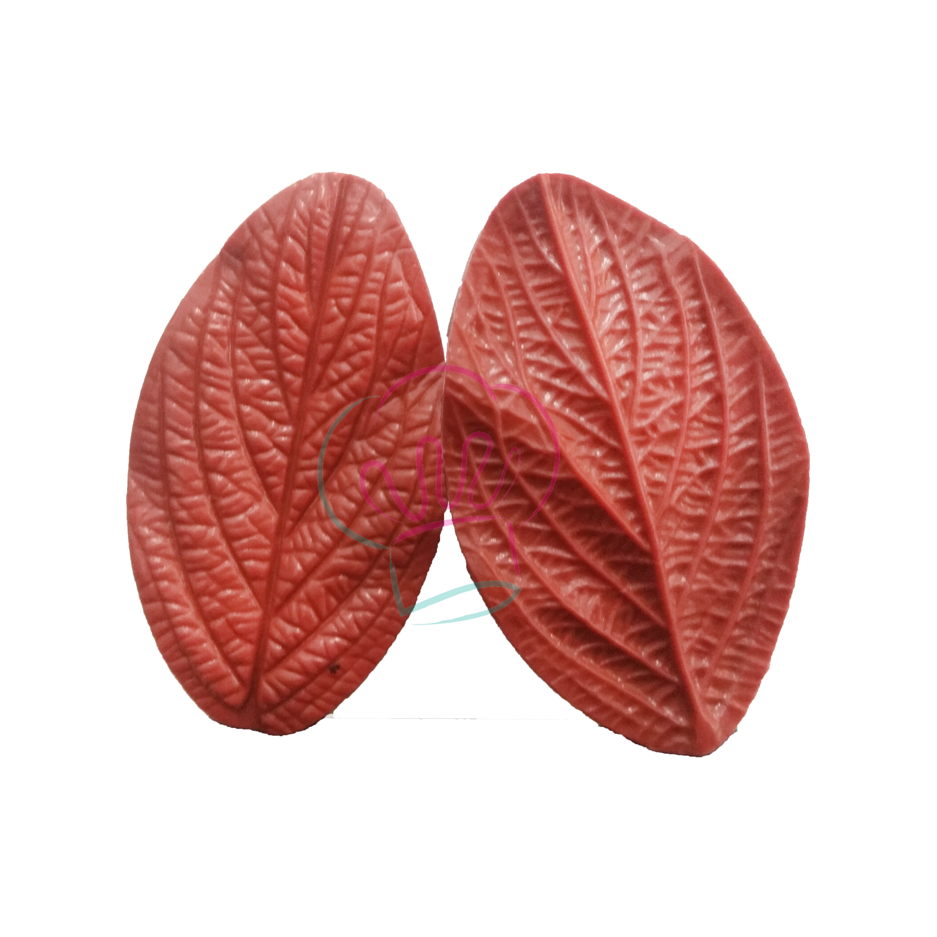 leaf veiner 3.png