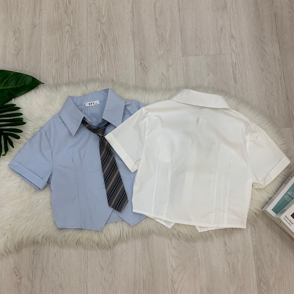 13C73BF3-B857-4D02-8230-61CA602FFA47