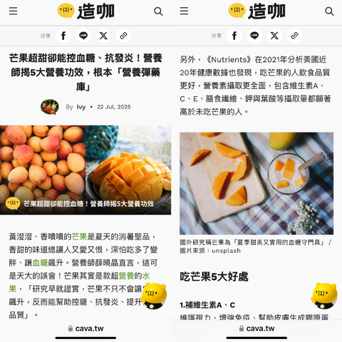 🥭2026屏東枋山牛奶蜜香愛文芒果禮盒  25公斤裝+-5% (9-12顆裝)-1
