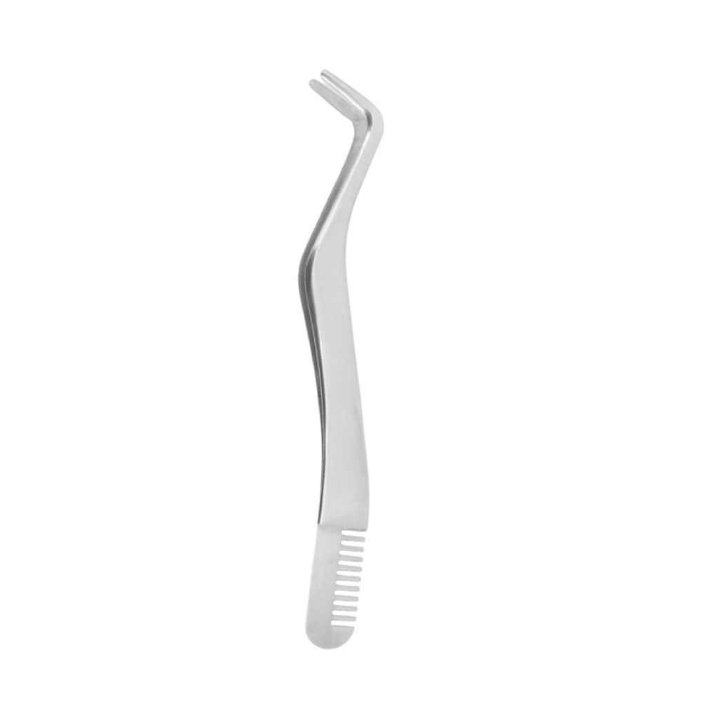 tw-11134207-7ras8-m1sfe24g9hjxce
