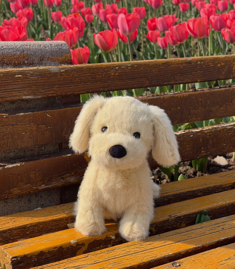 Jellycat 2026限量版 Golden Puppy 黃金獵犬寶寶 🐾21cm-