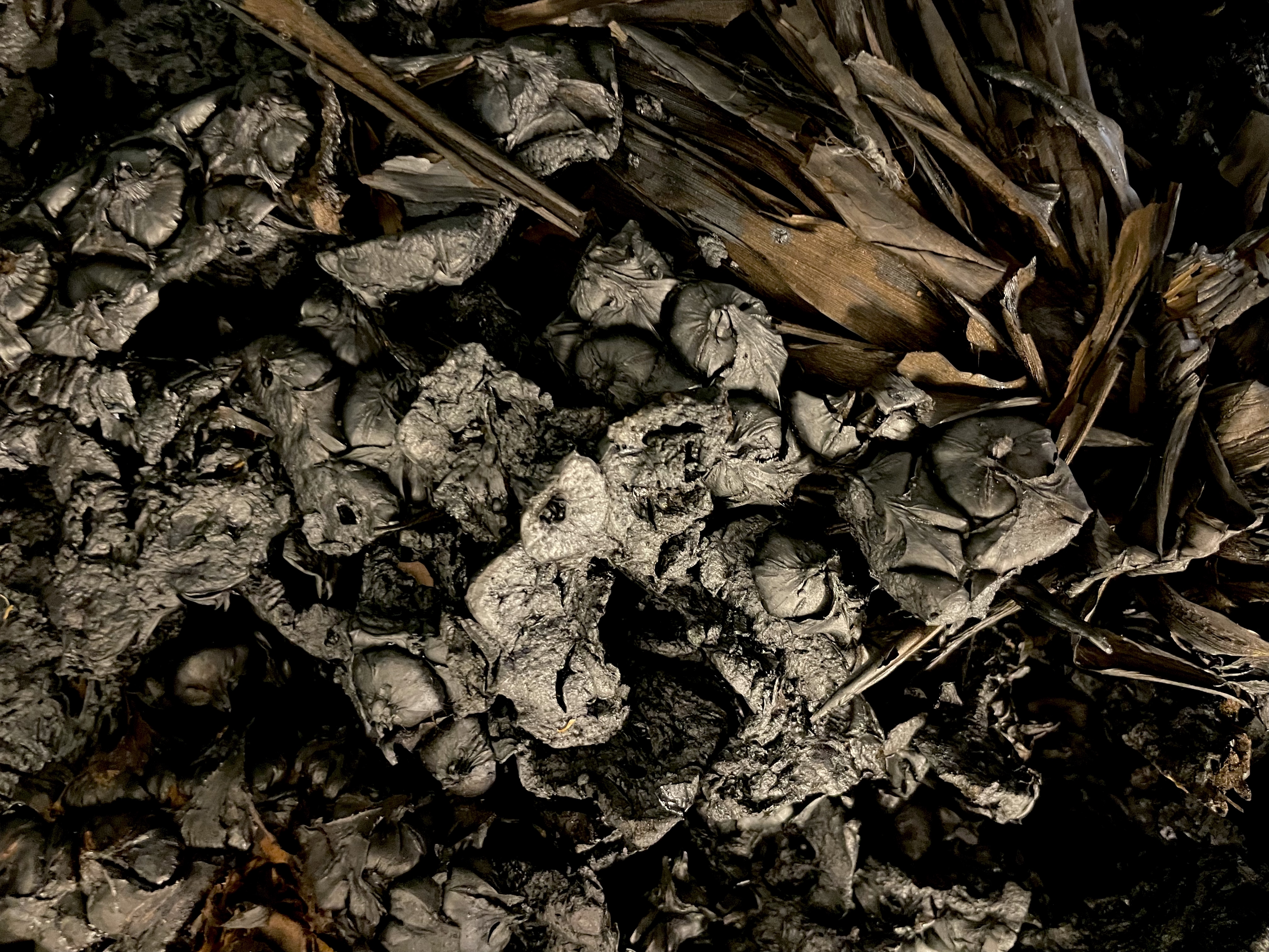 無印良品 招財貓 MUJI 