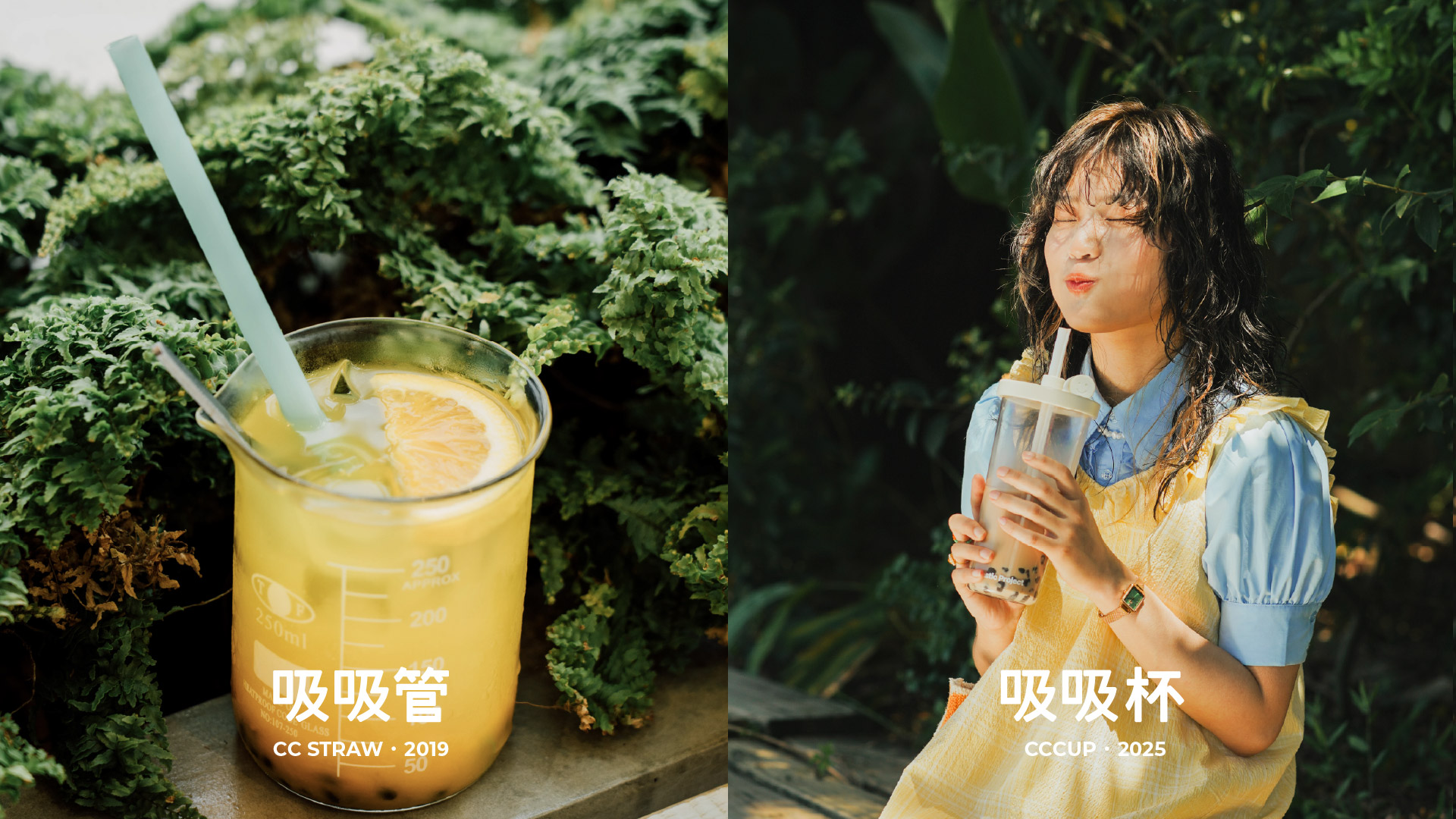 嘖嘖募資圖-02