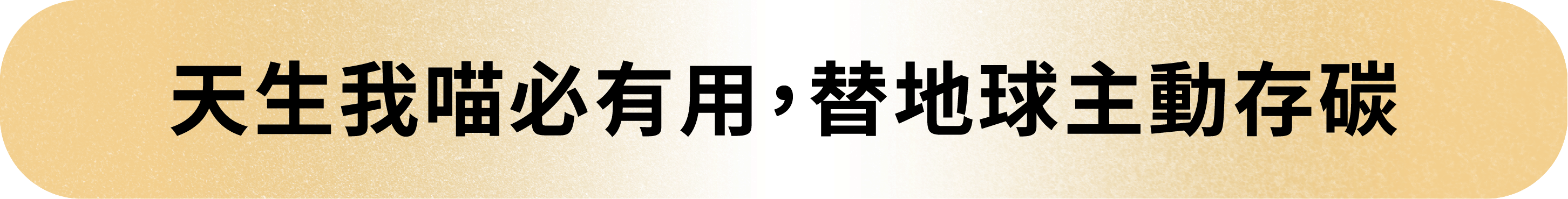 20260803_嘖嘖吸吸喵標題-08