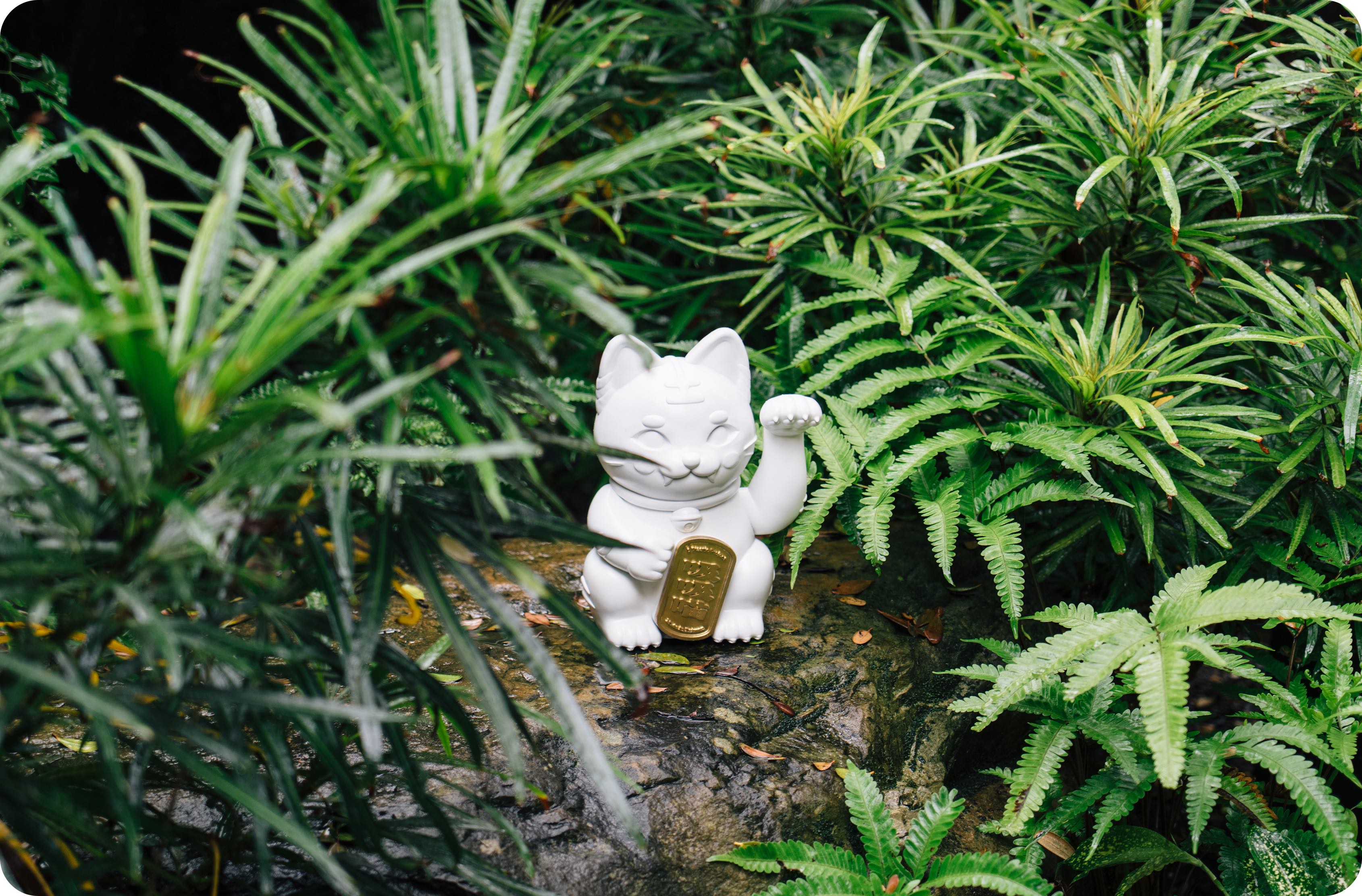 地球
