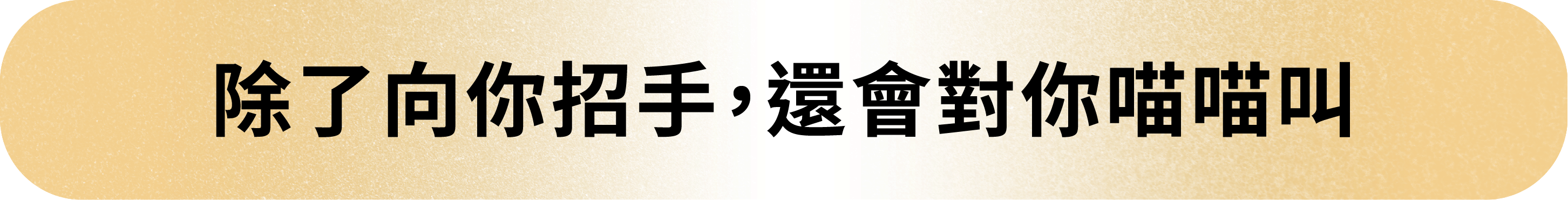 20260803_嘖嘖吸吸喵標題-02