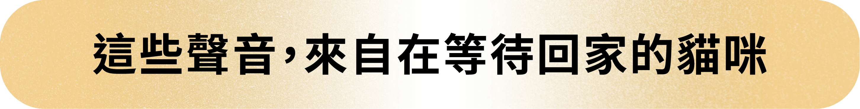 20260803_嘖嘖吸吸喵標題-03