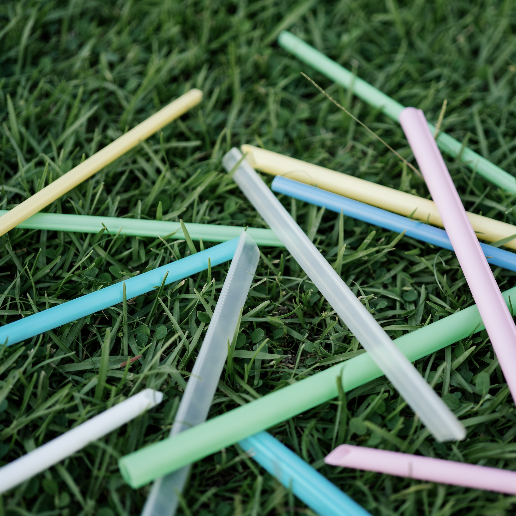 截圖 2021-04-27 上午11.23.13.png