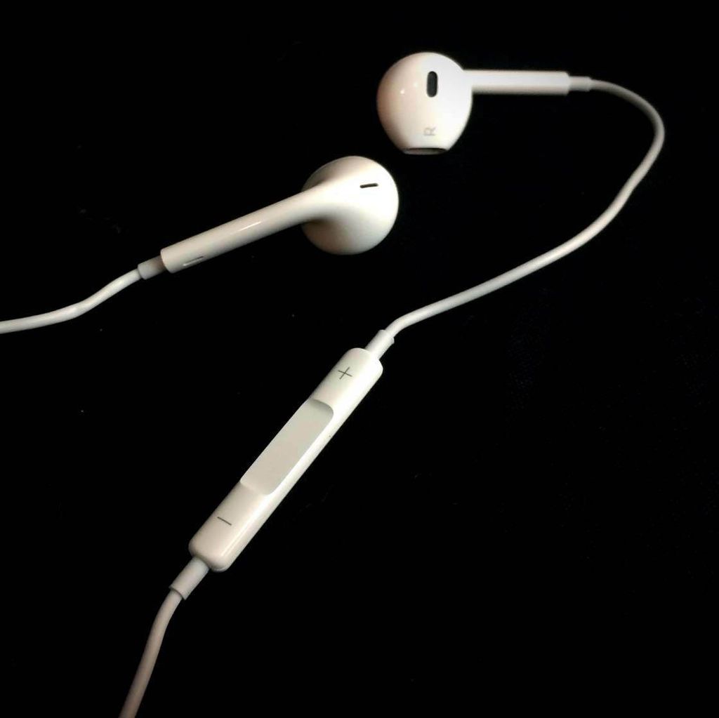 earpods with buttonjpeg.jpg