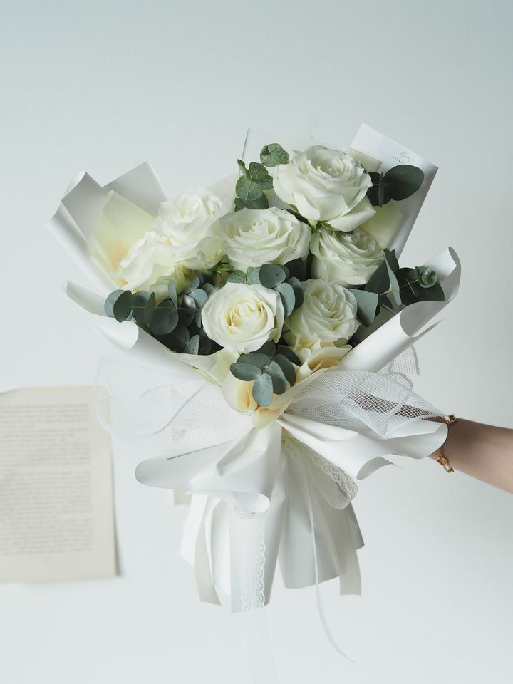 [new] 7 stalks Kenya white roses with eucalyptus - RM158