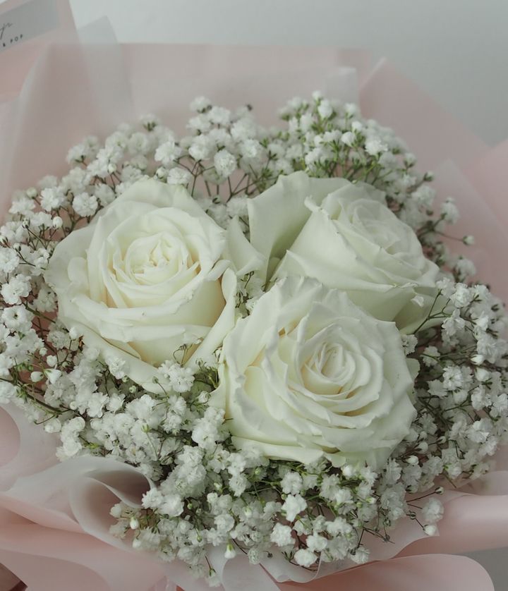 [new] 3 stalks ecuador white roses with baby breath - RM128..