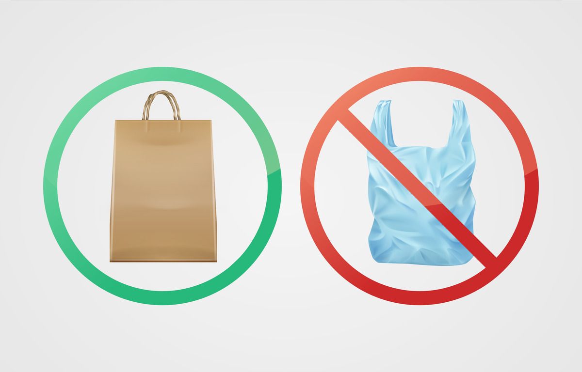 Comparing Costs: Paper Bags vs. Plastic Bags in Retail