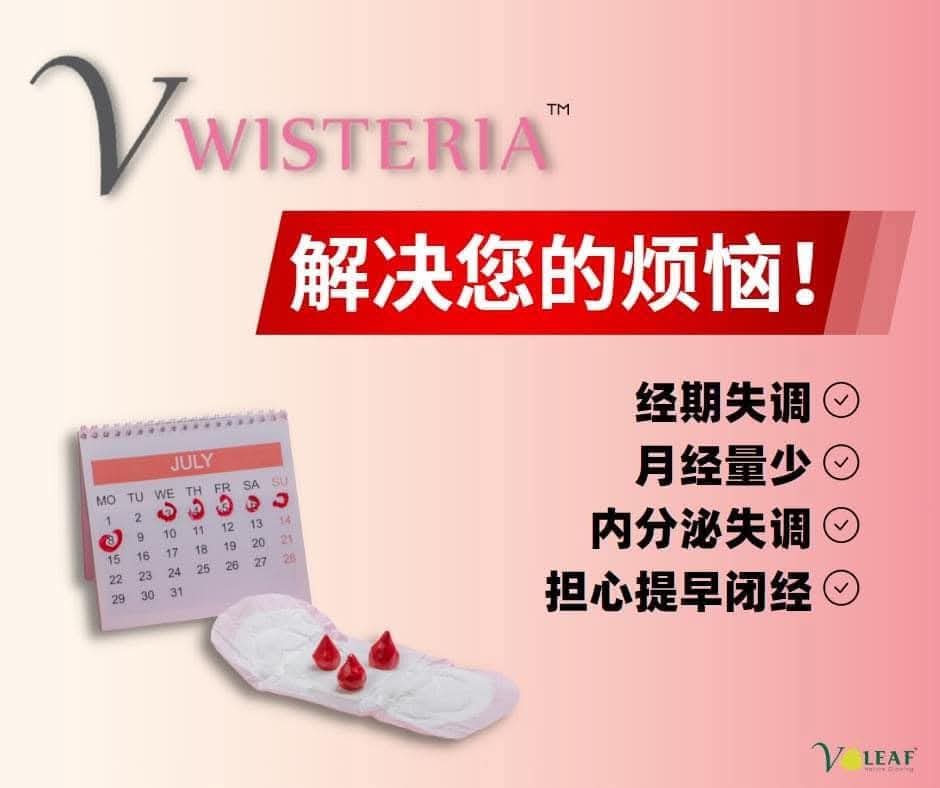 New W14