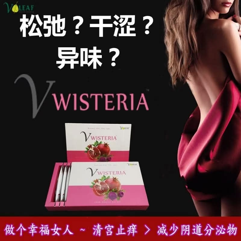 New W24