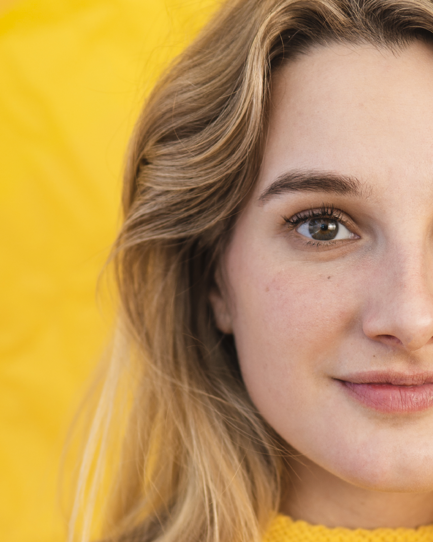 Schmidt Shop | Sign Up for 15% OFF