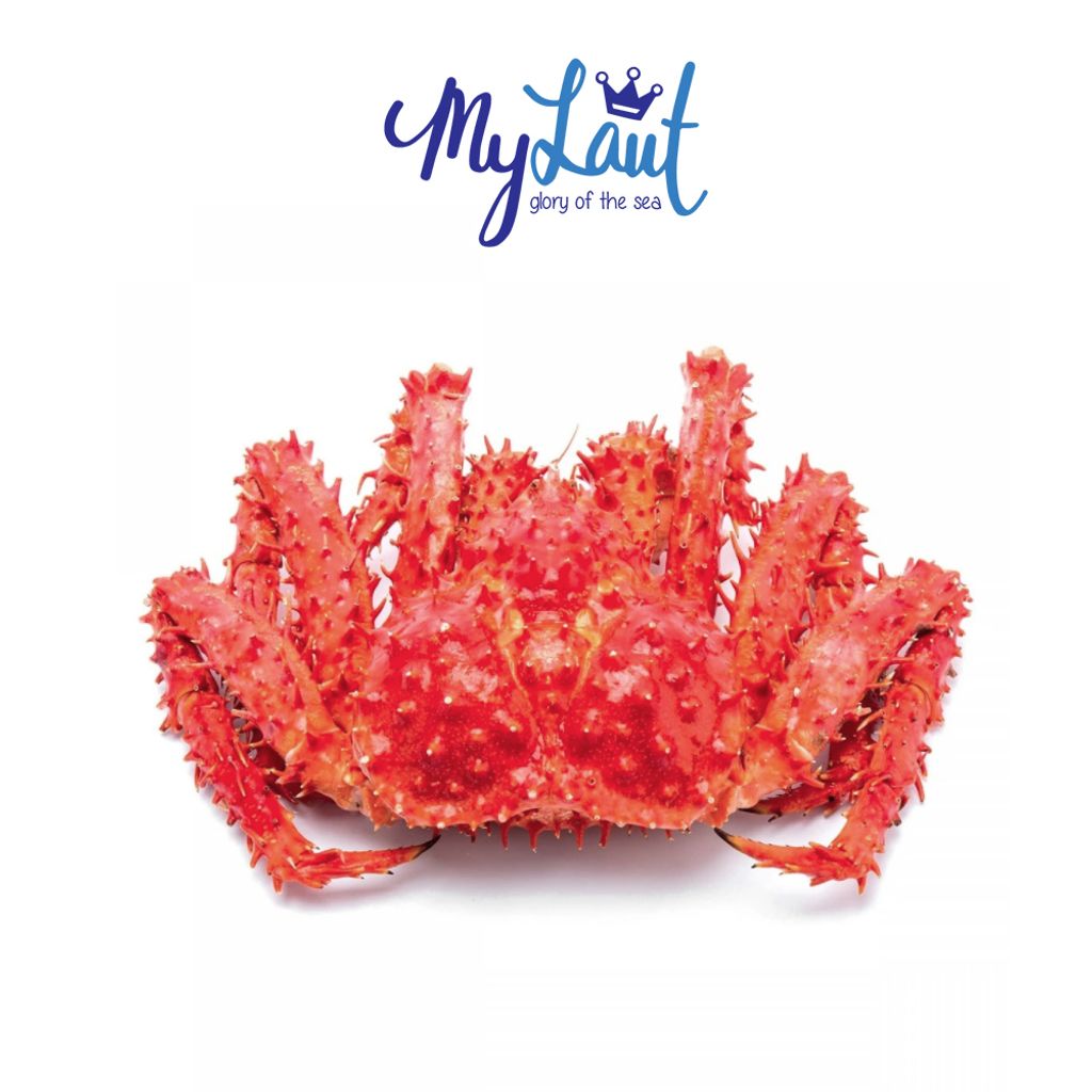 Chile King Crab (1.21.4Kg±) MO Signature