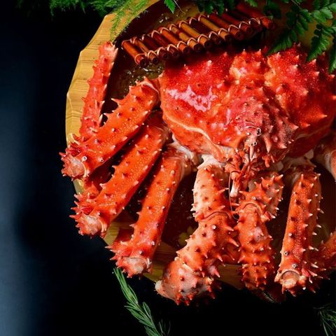 ChileKingCrab_02.jpg