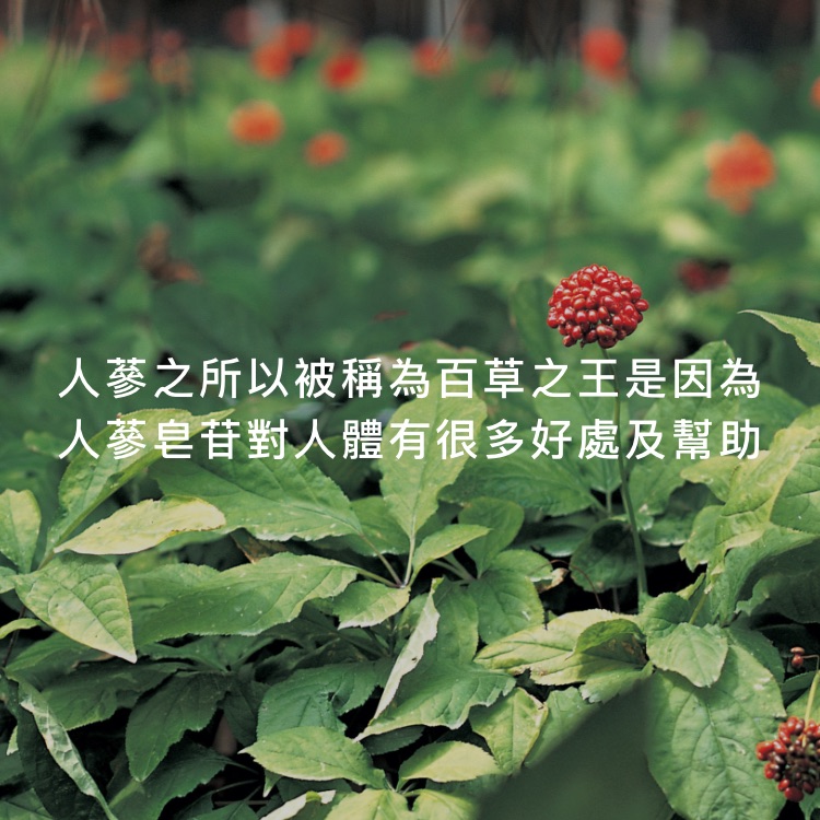 everglory banner-homepage-mb@2x.jpg