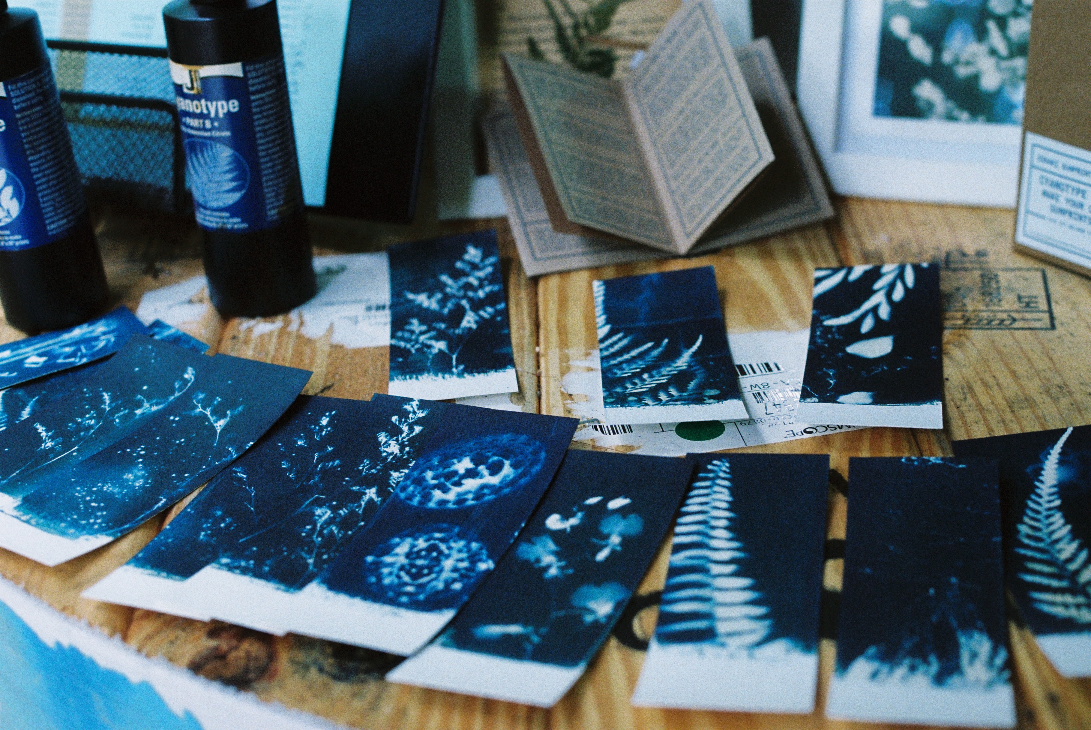 Cyanotype Kit – Sunprint Studio