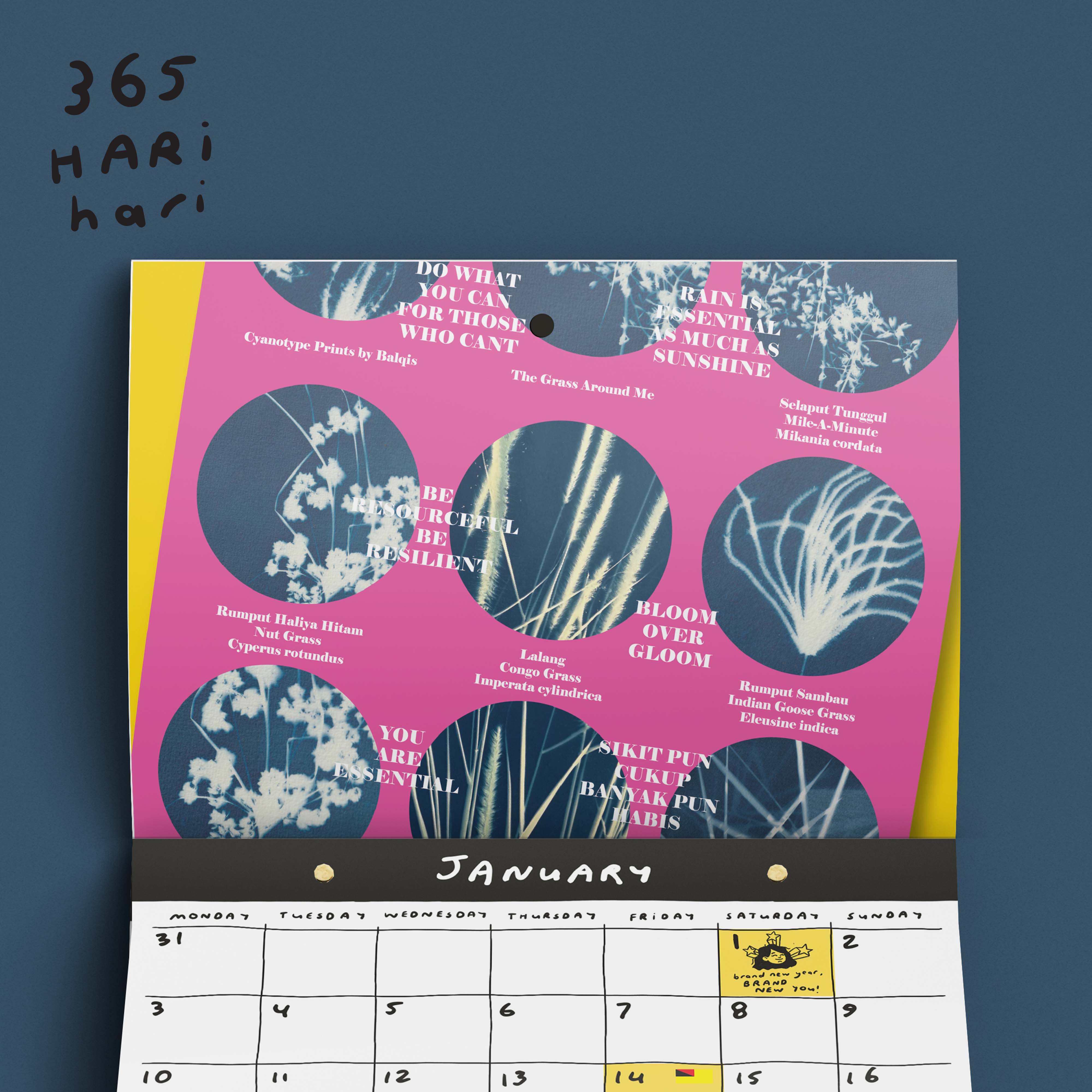 Sunprint Studio’s 2022 Calendar!