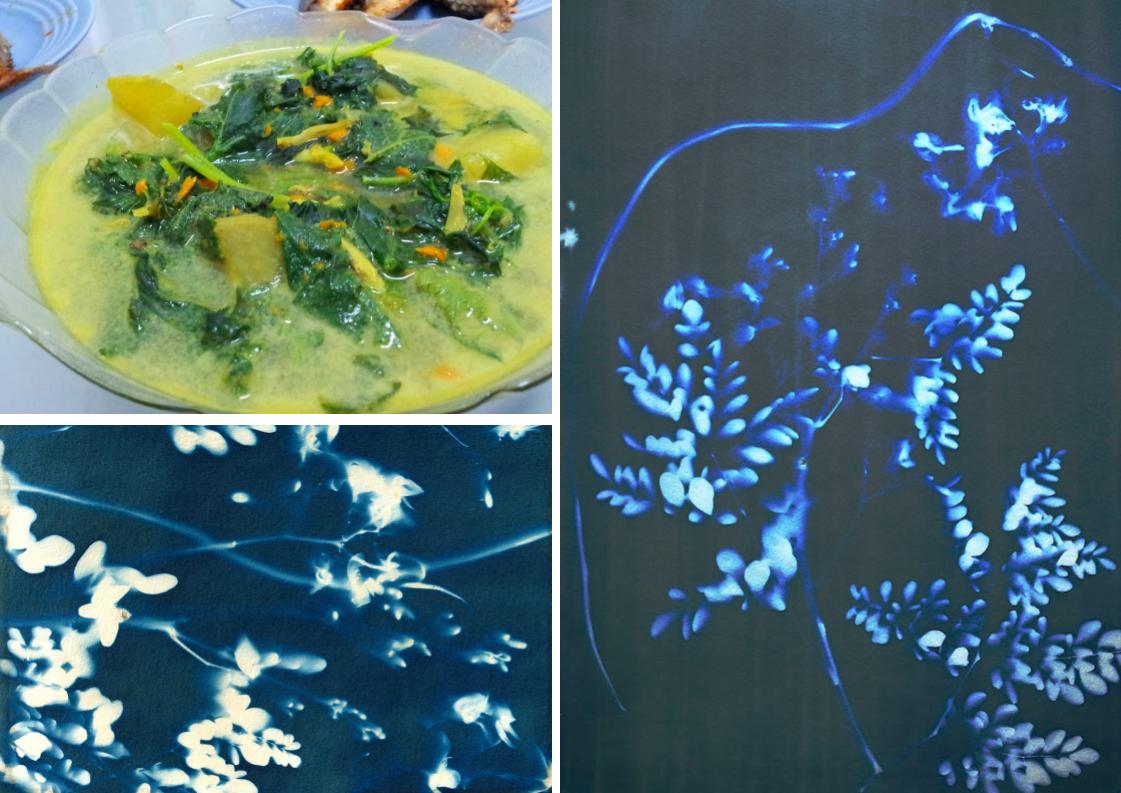 Moringa Dish meets Moringa Cyanotype