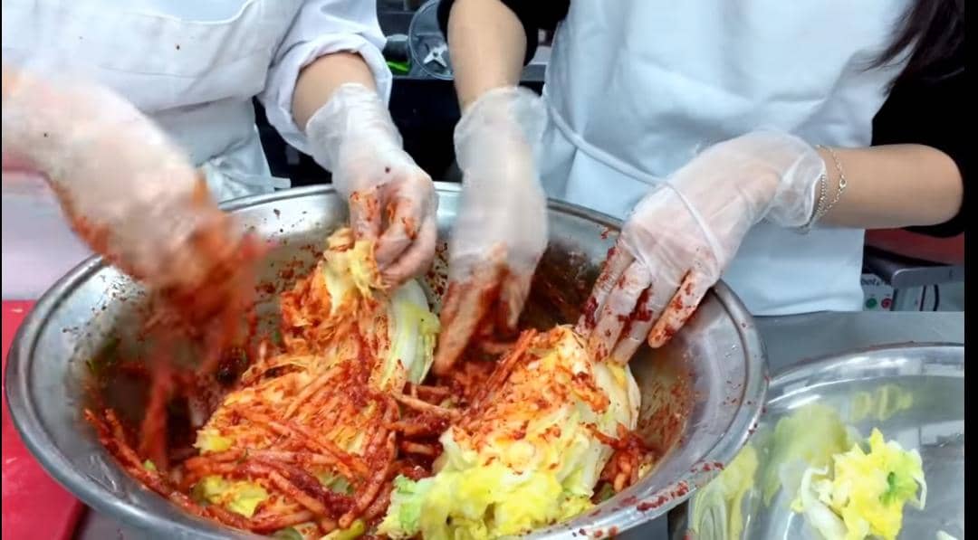 kimchi cabbage.jpeg