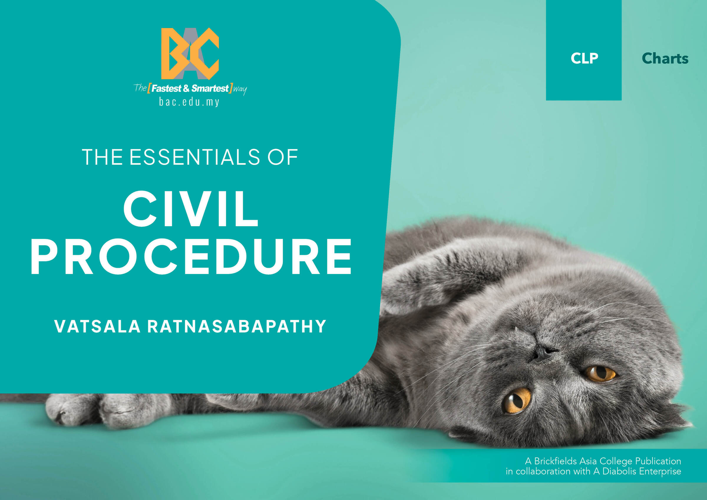 CVR_CLP_CHARTS_THE_ESSENTIAL_OF_CIVIL_PROCEDURE_2023