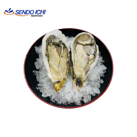 Miyagi Oyster.jpg