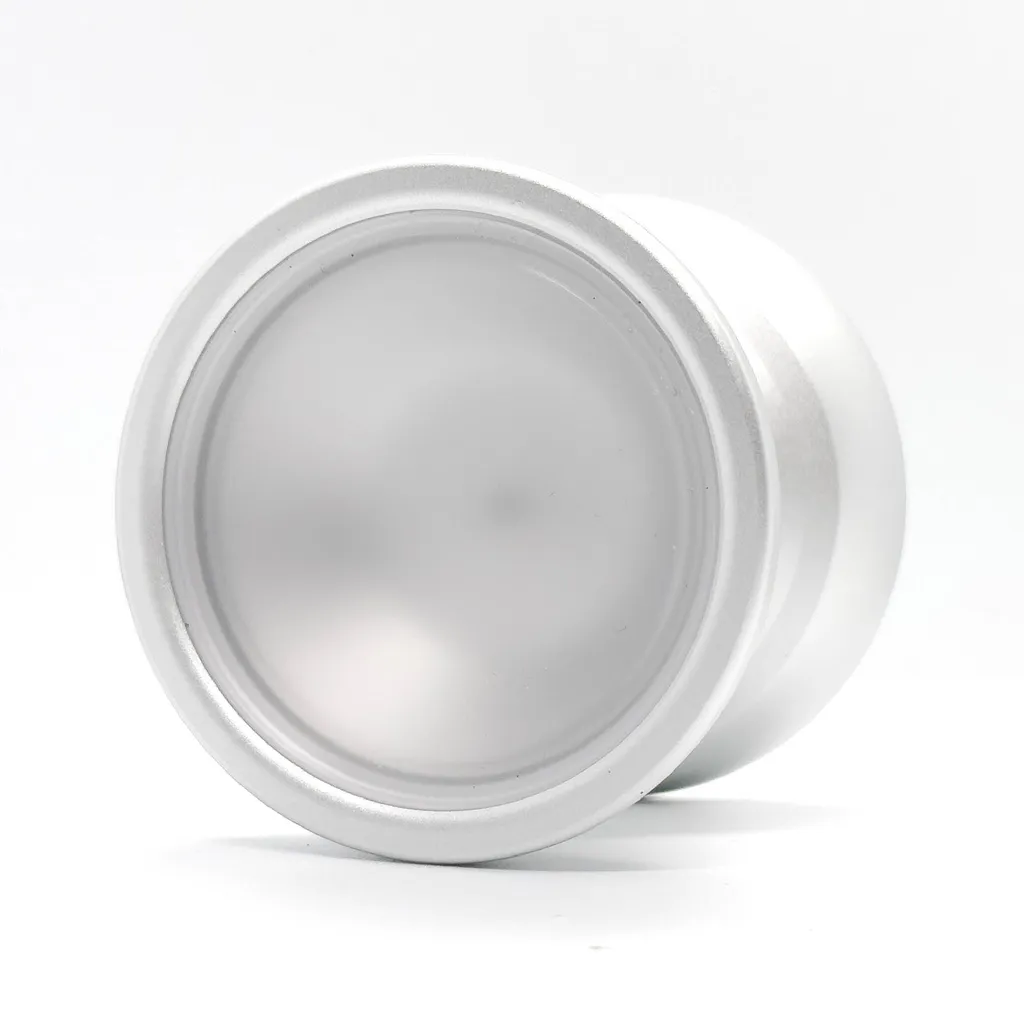 dong wu_sliver