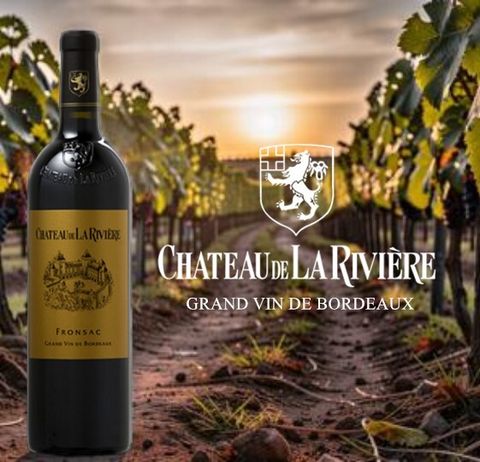 Chateau de La Riviere