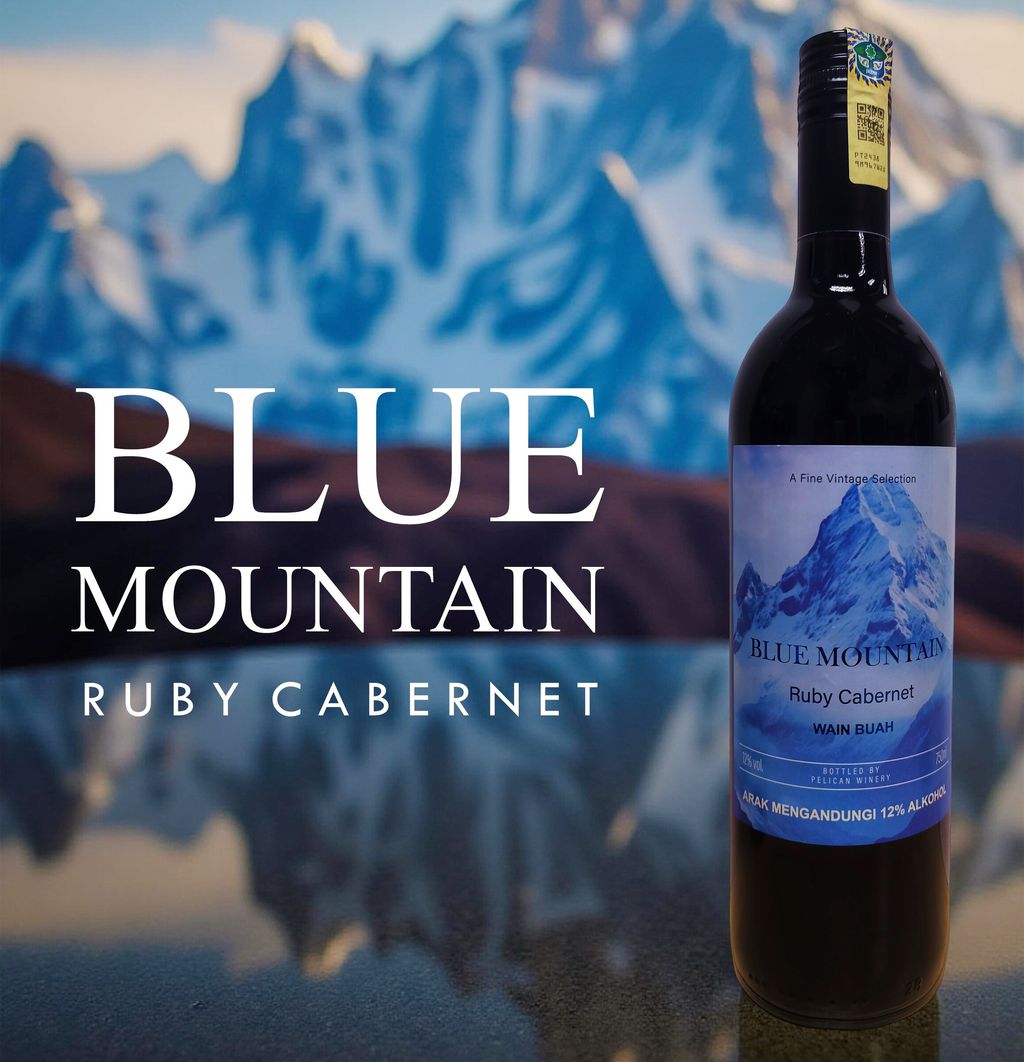 blue mountain new look AD jpg