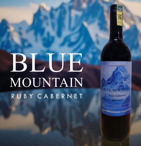 blue mountain new look AD jpg