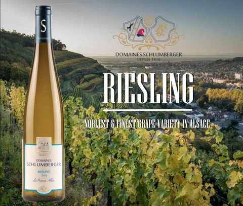 SCHLUMBERGER RIESLING AD