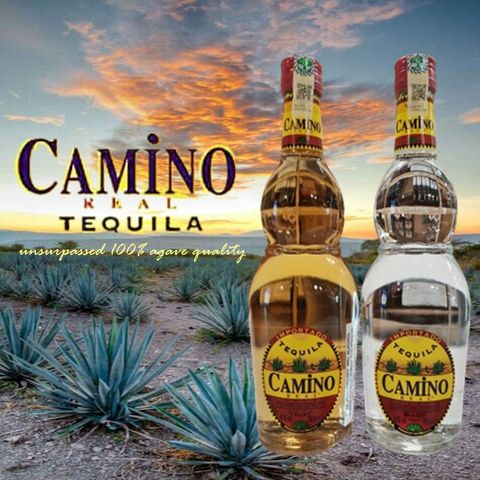 camino real tequila ad