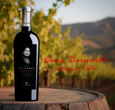 Dona Bernarda wine
