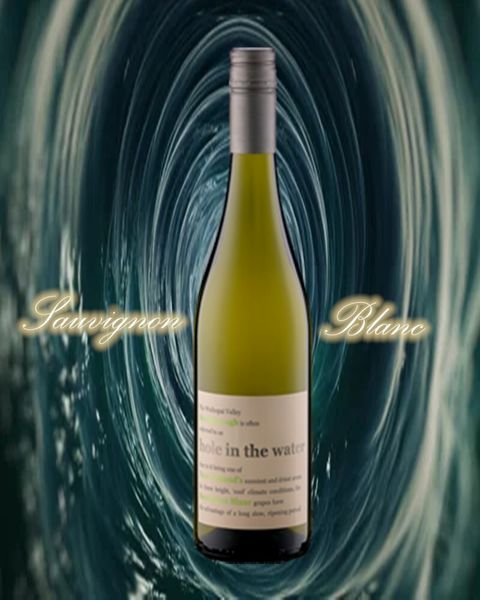 hole in the water sauvignon blanc