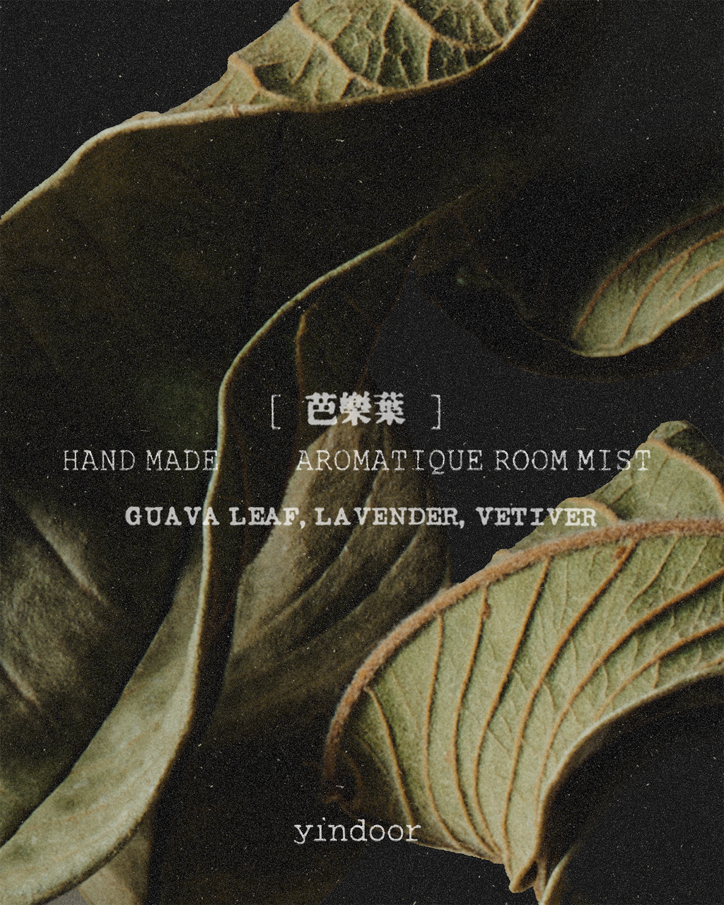 口味介紹_芭樂葉