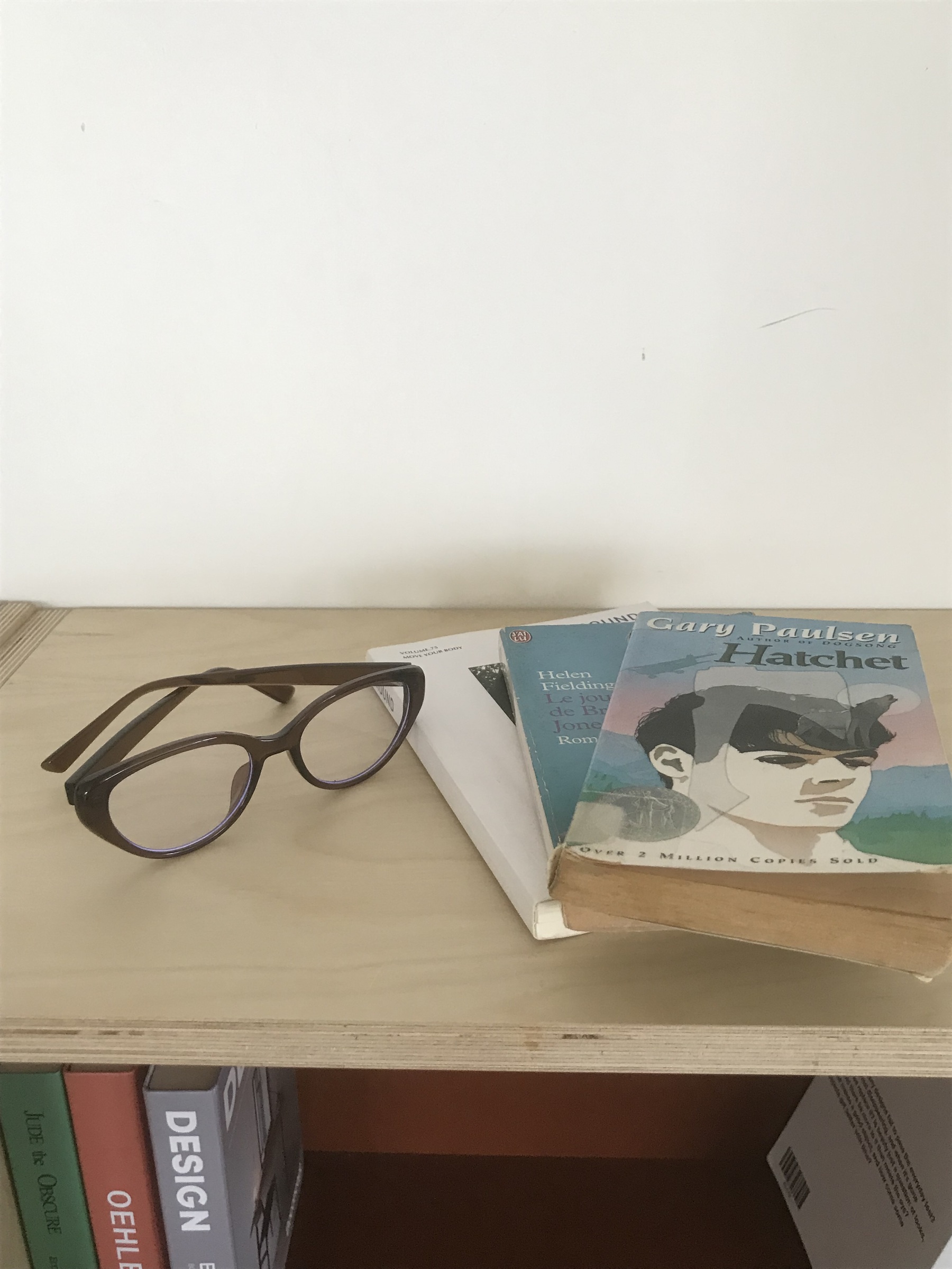 image_E81200F9-862C-4893-B7E3-FF43A78AA749_1762328528