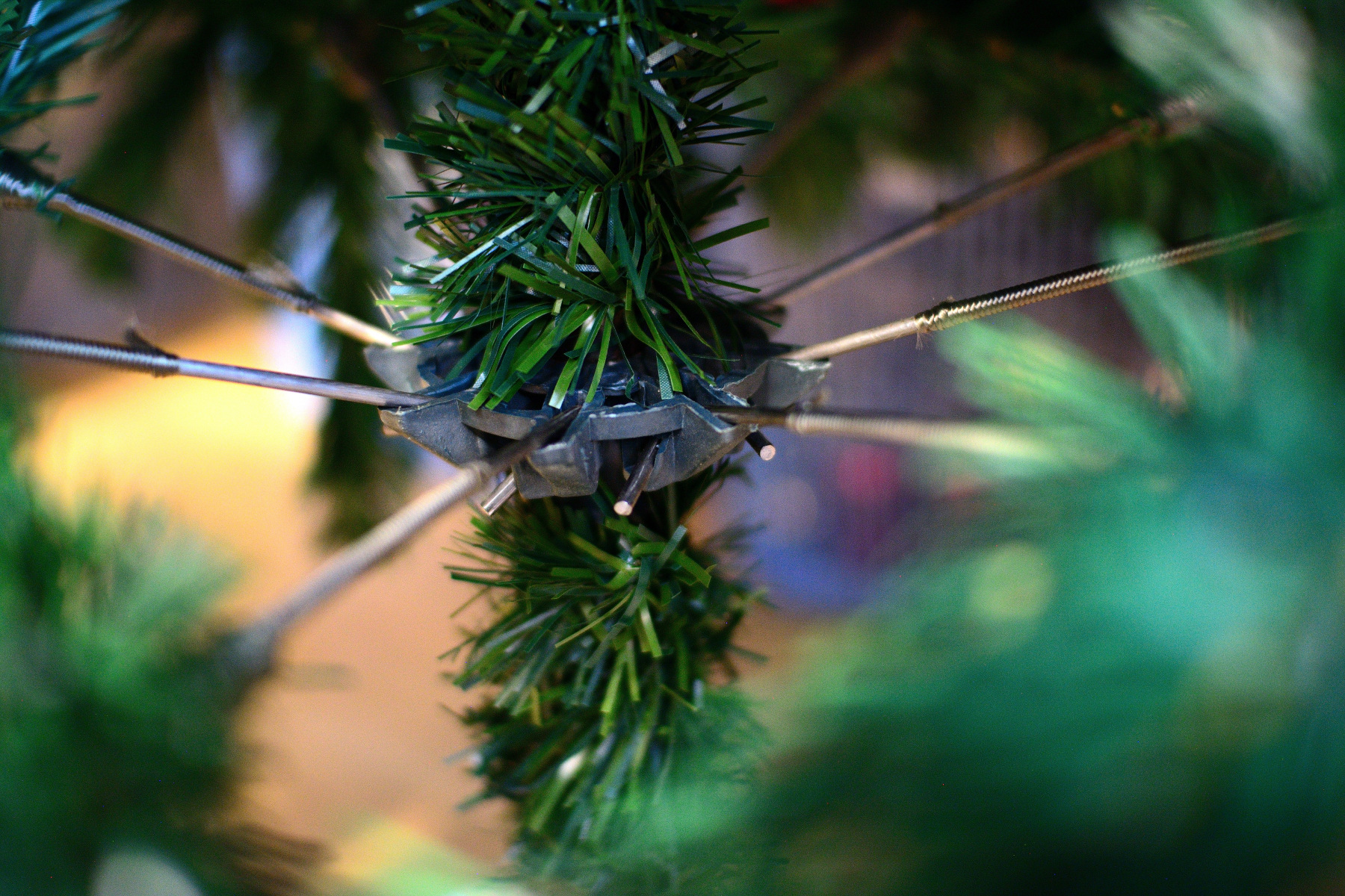 DSC_0621.JPG DSC_0621.JPG